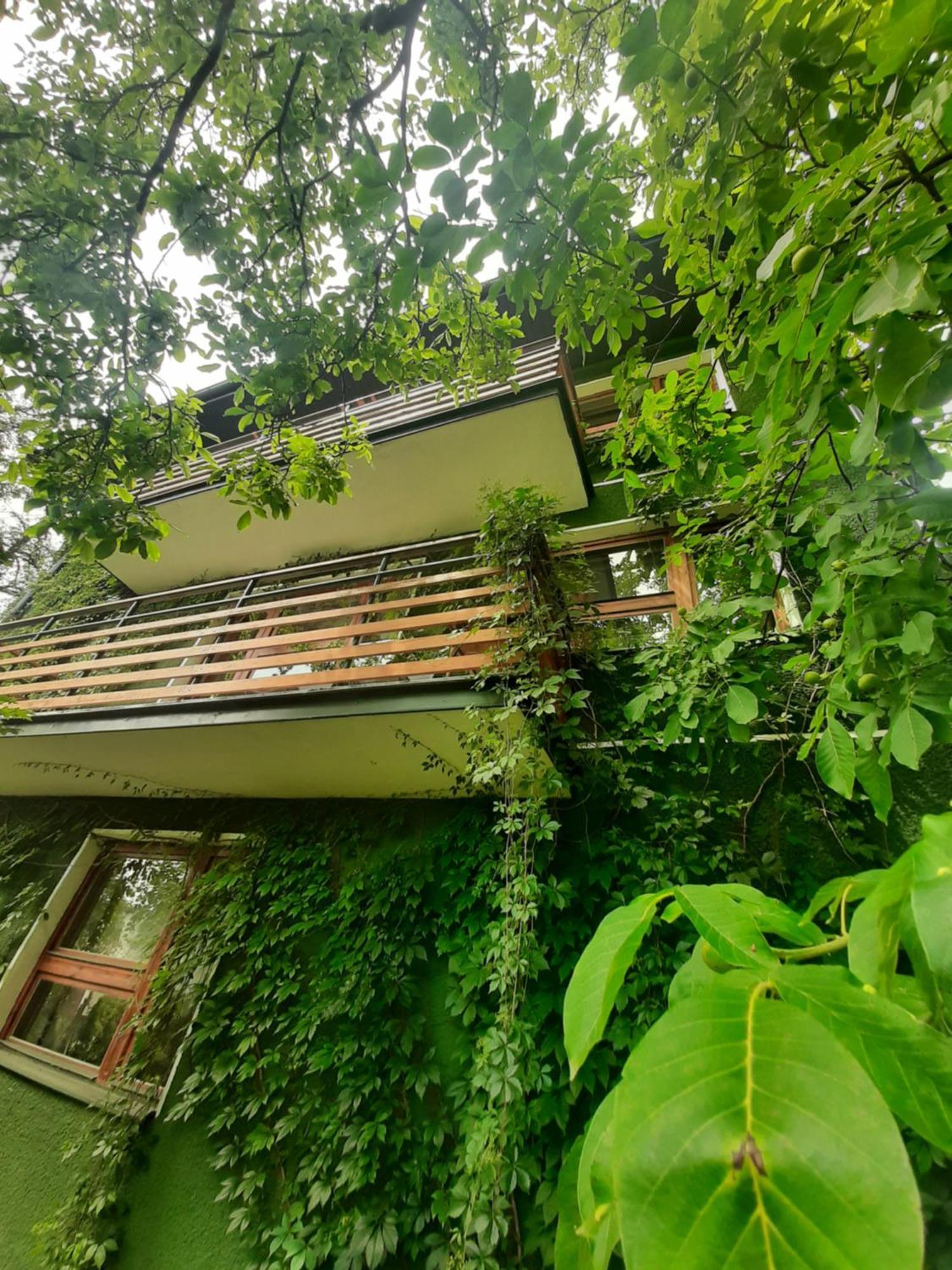 Willa Hono Lulu Busko-Zdrój Exteriör bild