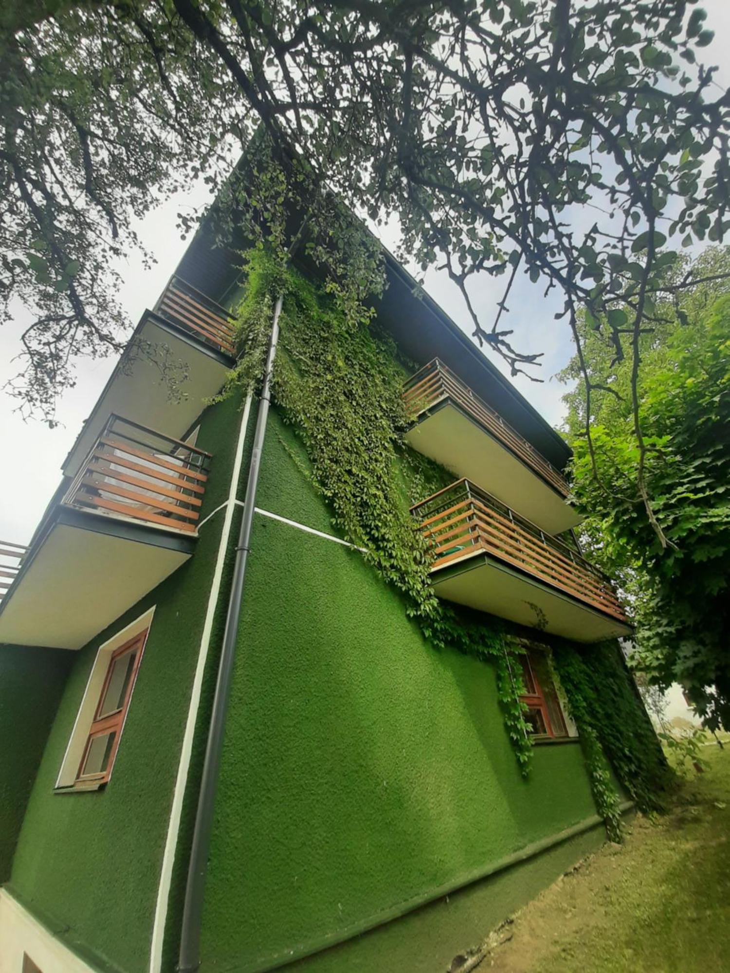 Willa Hono Lulu Busko-Zdrój Exteriör bild